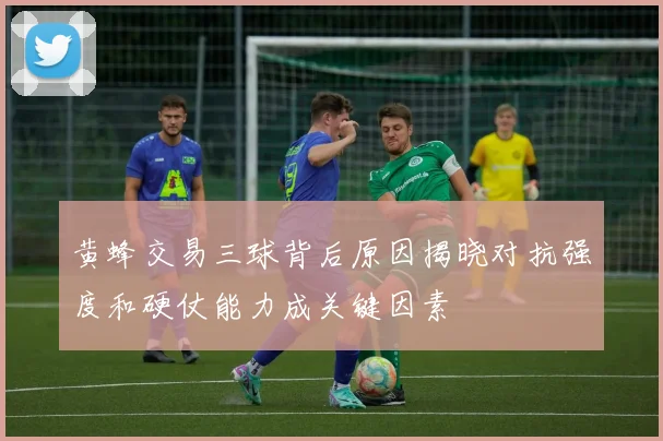 黄蜂交易三球背后原因揭晓对抗强度和硬仗能力成关键因素